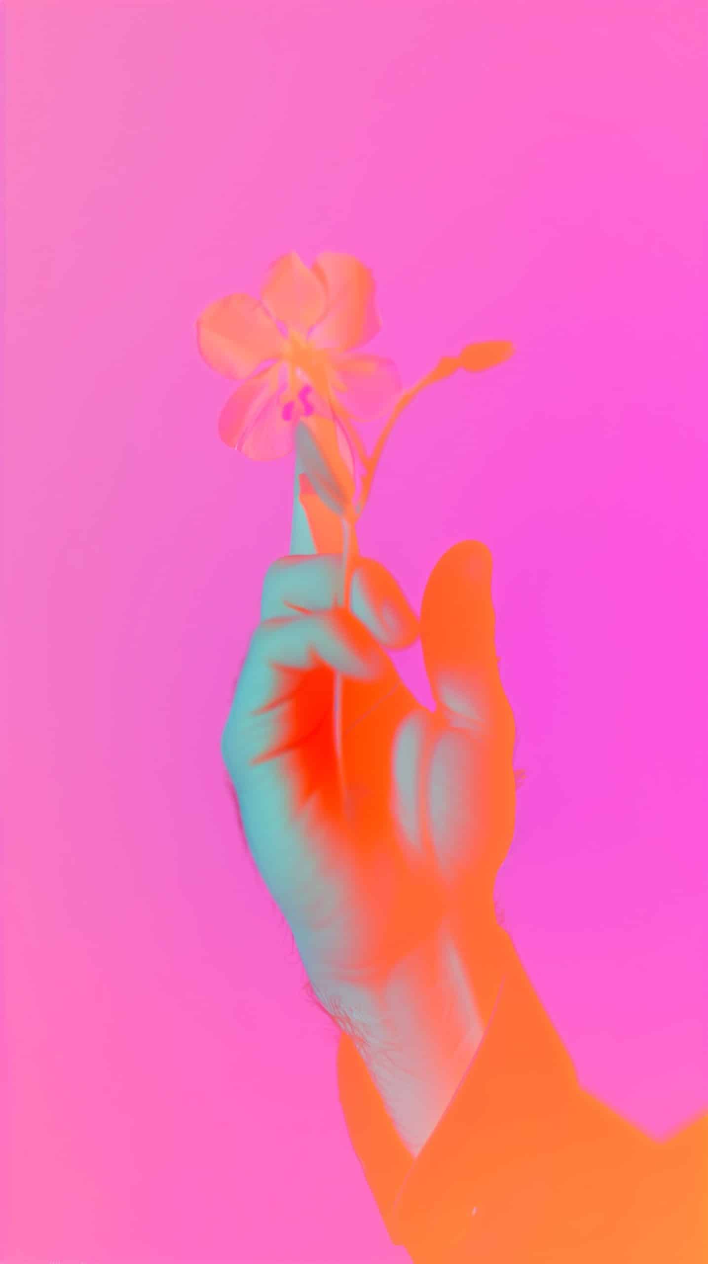 fcatapano_httpss.mj_.runcMc9_mrg6mM_A_photo_of_an_orange_hand_re_a997c7ba-d510-4808-ad0d-940fa46bec9c